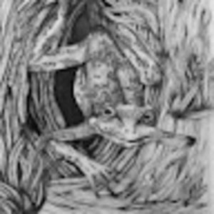 Meet your Posher, Elena